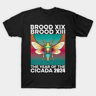 Entomology Cicada Lover 2024 Cicada Swarm Summer Scream T-Shirt